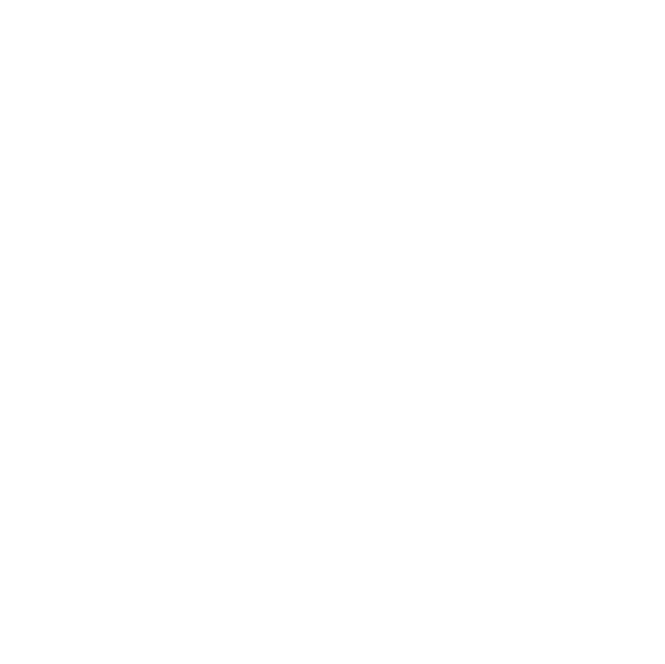 TSO x ECHO88